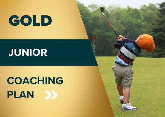 Picture of Junior Gold Programme